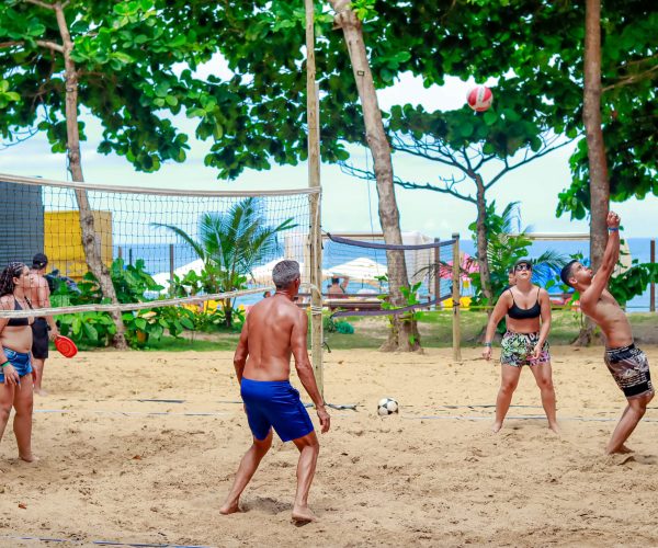 Volei